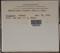 Image Associated With the Occurence